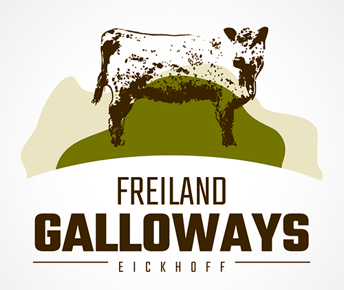 Freiland Galloways